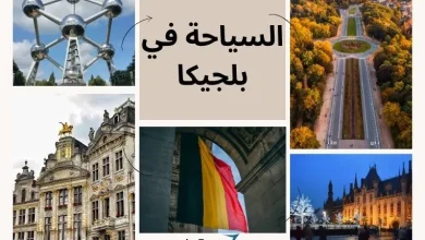 أفضل أماكن السياحة في بلجيكا 2024 للعرب، بالإضافة إلى تكلفة السفر وفيزا بلجيكا السياحية 2024